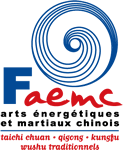 logo_faemc